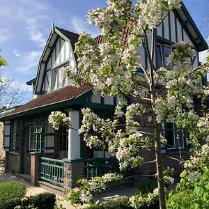 Tree & B Bed and breakfast Brujas
